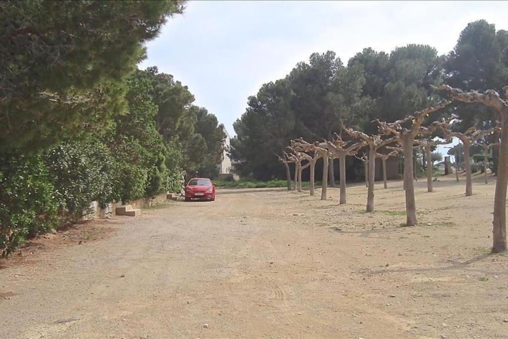Les Cases Del Vent II Calafat Esterno foto